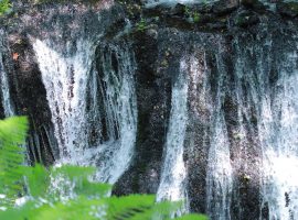 洒落工房あづま研修旅行